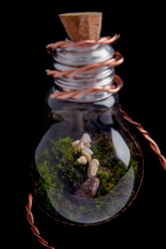 Florarium with stones in lamp