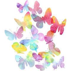 watercolor drawing butterflies