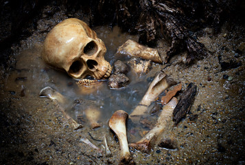 Skull and bones in pit which has flood in raining day on scary graveyard area