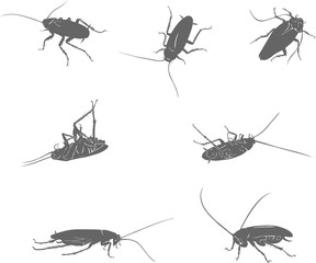 cockroach, drawing of a black cockroach, isolated silhouettes