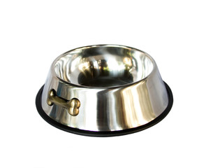 Pet bowl stainless steel on isolated white background.  Pet accessories concept.