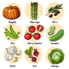 Set of drawn colored vegetables