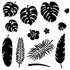 Set of silhouette tropical leaves. Jungle foliage. Green palm leaves isolated on the white background. Vector illustration