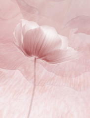 Abstract flowers background for decoration on pink