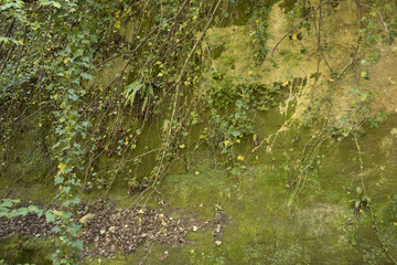 Gole di Fara San Martino, Abbazia di San Martino in Valle e free climbing