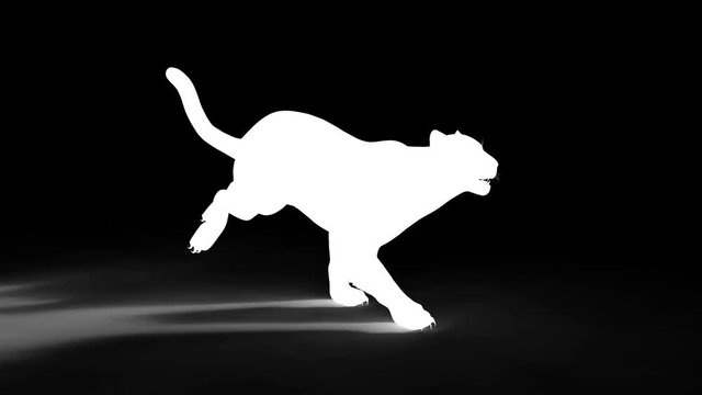 3d Illustration Black Panther Isolate on White Background with Alpha Matte, Black Tiger Run seamless loop Animation.