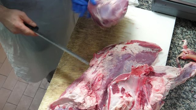 Skilled butcher cuts veal meat in a slaughterhouse