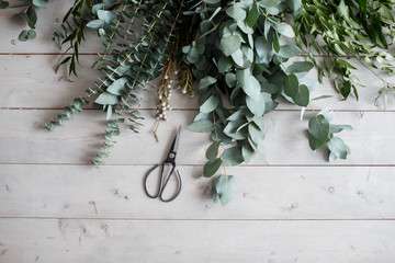 Eucalyptus plant and scissors on a wooden white table. mock-up. view from above