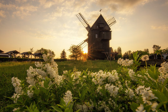 Windm&uuml;hle zu D&ouml;rgenhausen 