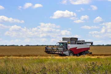 Combine harvester working on the field