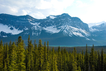 春のカナディアン・ロッキー　バンフ国立公園　ヘクター湖（カナダ）