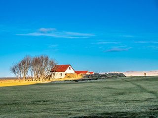 Fototapeta na wymiar Outback field in Iceland