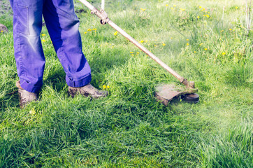 A man mows a green grass lawn mower on a sunny day