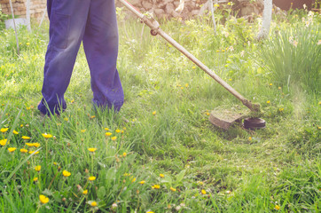 A man mows a green grass lawn mower on a sunny day