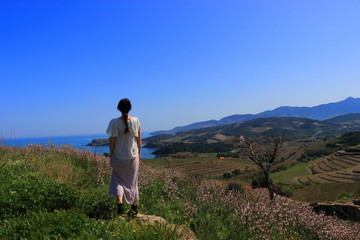 Naklejka na ściany i meble Young woman in dress admiring a Mediterranean landscape, Pyrenees orientales in southern of France