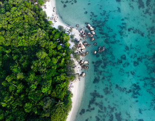 aerial view of landscape with rainforest near the rocky beach and turquoise sea