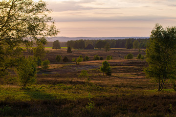Lüneburger Heide