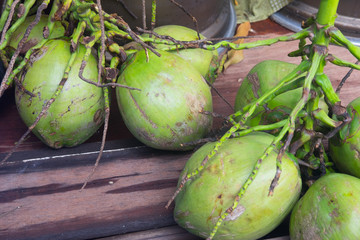 Green coconut fruit