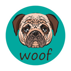 Pug. Dog. Funny. Thoroughbred. For your design. For printing on postcards, clothes. Print.