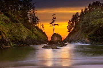 Fotobehang Deadmans Cove at Cape Disappointment State Park © David Gn