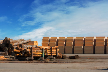 Logs and Plywood at Lumber Mill on a sunny blue sky day