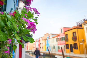 Beautiful nature with decorative green plant, pink flowers decorative with blurred colorful building villages and small canal background.