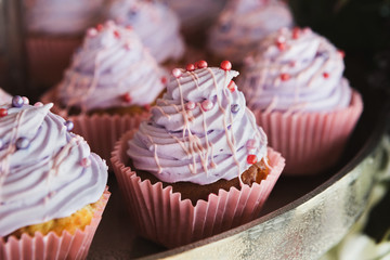 Violet cupcakes at candy bar, closeup
