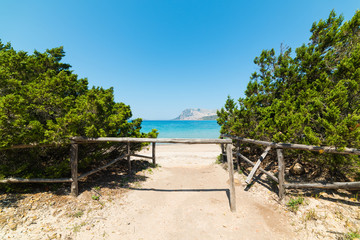 wooden fence in Capo Coda Cavallo beach