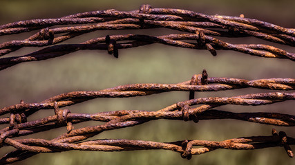 Coiled rusty barbed wire