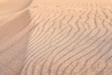 Sand texture, top view