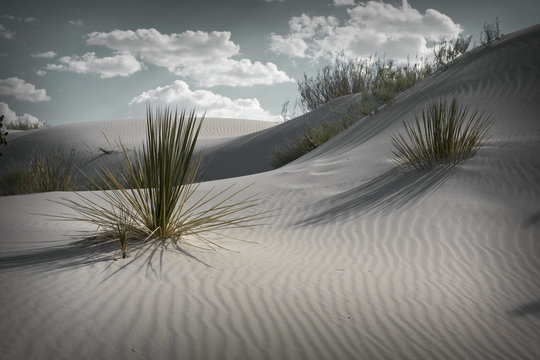 White Dunes