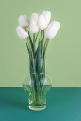White tulips in a vase on a green background.