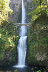 Fototapeta premium Multnomah Falls, Columbia River Gorge National Scenic Area in Oregon