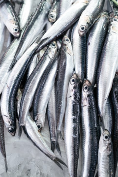 Overhead view of fresh fish in market