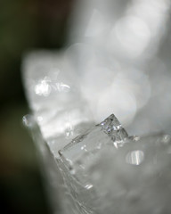 Abstract ice background of small icicles and ice crystals
