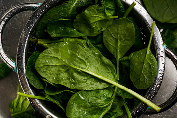 Fresh spinach leaves in strainer