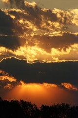  Dramatic clouds above silhouette of forest in Europe