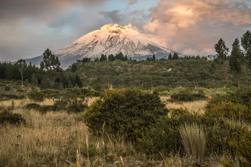 Foto op Canvas Cotopaxi volcano with sunset light shinning on it's slopes, and crops in the foreground, Ecuador. © vaclav