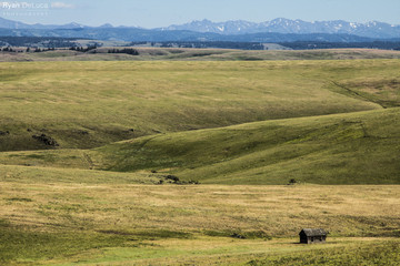 PRAIRIE HOME