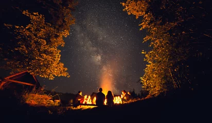 Wall murals Camping The fire at night