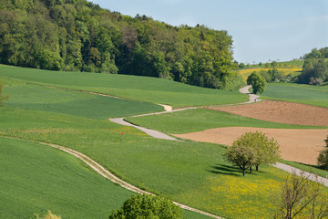 Frühling