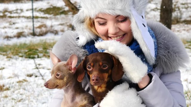 Young woman playing with her dogs, pinscher ratter prazsky krysarik and dachshund, outdoor during winter weather