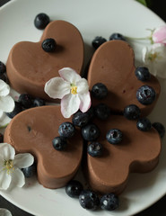  Spring chocolate panna cotta