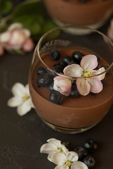  Spring chocolate panna cotta