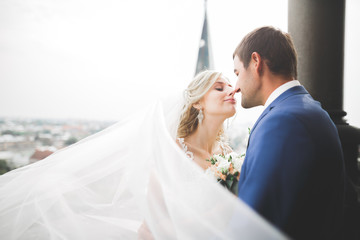 Naklejka premium Perfect couple bride, groom posing and kissing in their wedding day