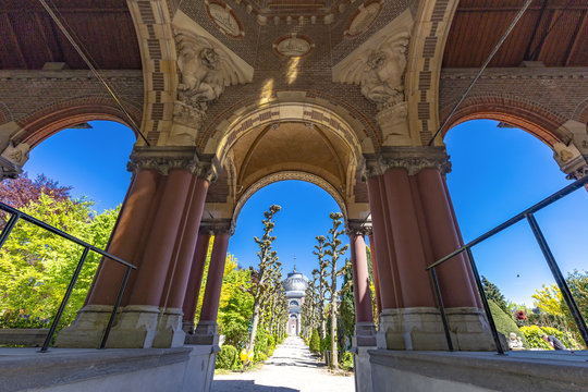THE HAGUE, 8 May 2018 - Central alley and pathway in the st petrus banden cemetery in The Hague under a shiny sunny blue spring sky, Netherlands