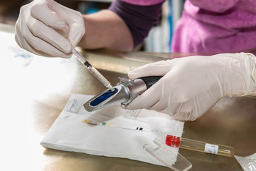 vétérinaire analyse au prisme ou au microscope les virus dans le sang de l'animal domestique le...