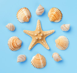 Pattern of seashells and starfish on a light blue background. Flat lay, top view