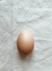 Chicken homemade egg on a gray background. 