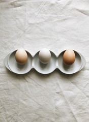 Chicken homemade egg on a gray background. 